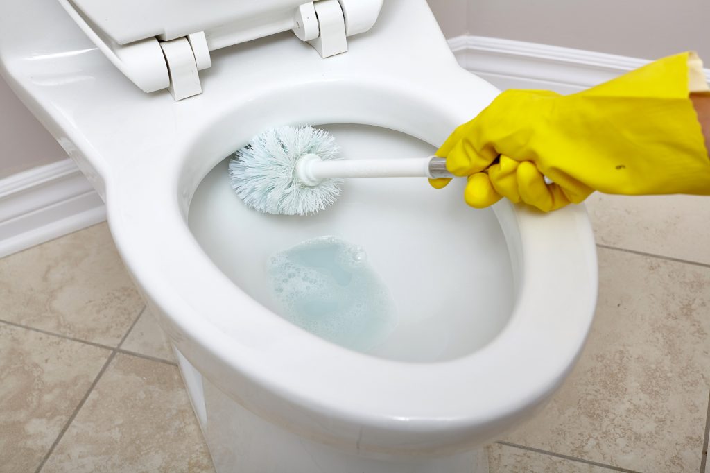 The Best Products for a Shiny Toilet Bowl All Star Steam Cleaning